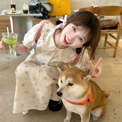惩戒者